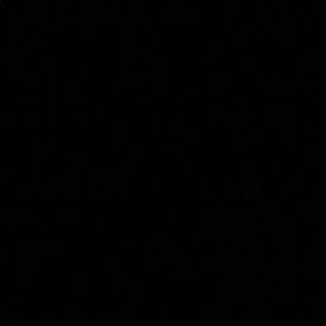 Meet your Posher, Laila